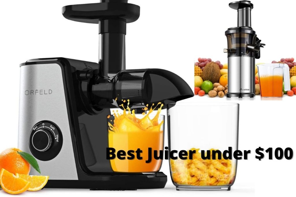 Top 10 Best Juicer under 100 in USA 2021 Buying Guide