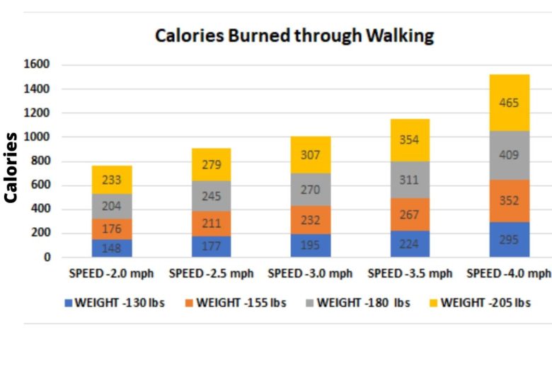 How walking burn calories to lose weight? And its Health Benefits.