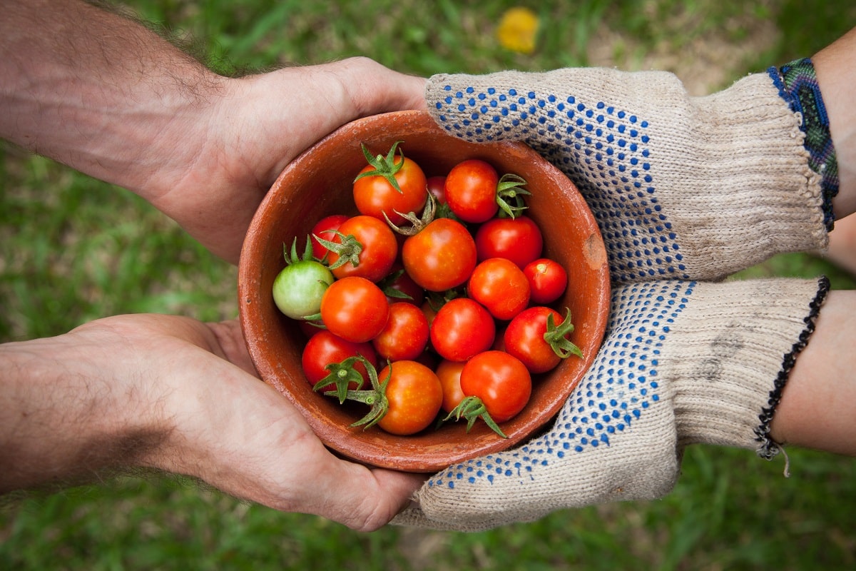 Top 7 Health Benefits of Tomatoes and its Nutritional Facts