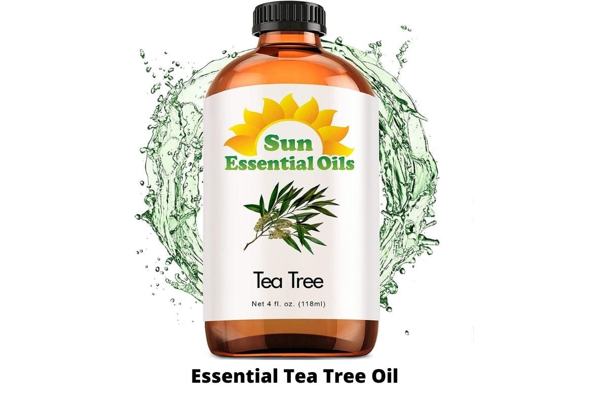 Essential Tea Tree Oil: Bulk Tea Tree Oil - (4 Ounce)